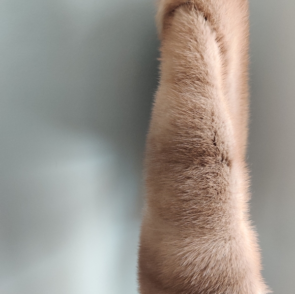 Vintage Genuine Mink Fur Stole Cape Blonde Sable by Salon Fernande Montreal - Picture 8 of 16